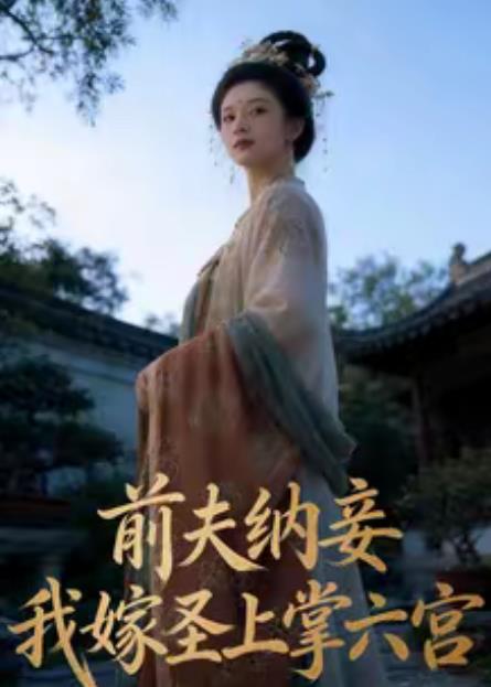 前夫纳妾,我嫁圣上掌六宫