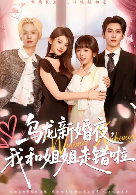 乌龙新婚夜,我和姐姐走错啦